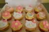 Cupcakes 6